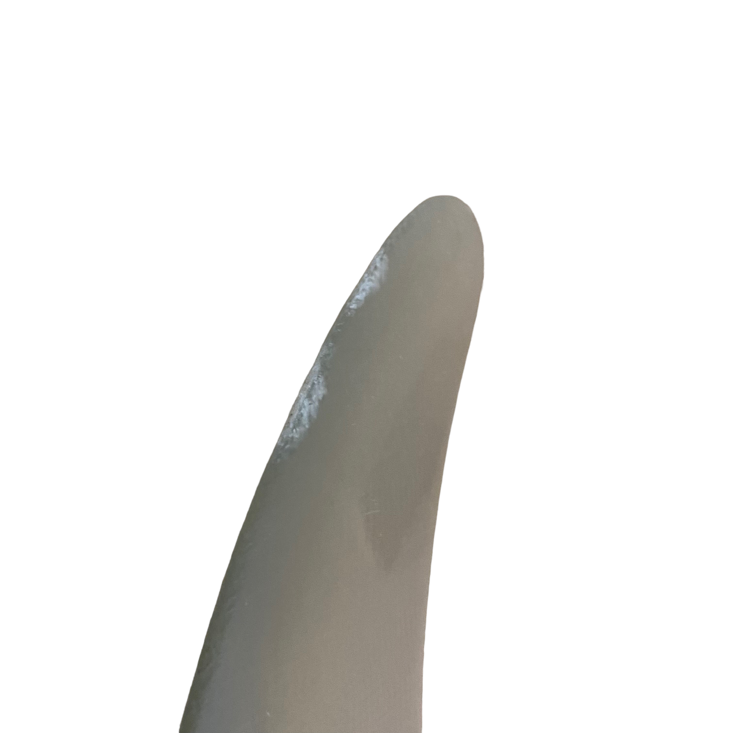 HAWAIAN PRO DESIGN / Single Fin 7`5 / 中古フィン / USEDFIN