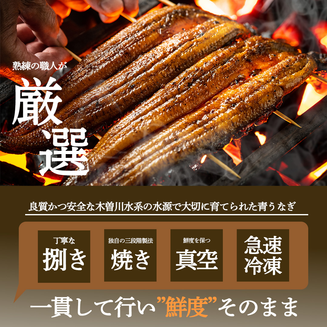 【初回限定】幻の鰻 あお天井の蒲焼き1尾と高級肝焼きの詰め合わせセット（1～2人前）【愛知県東三河産地問屋直送】