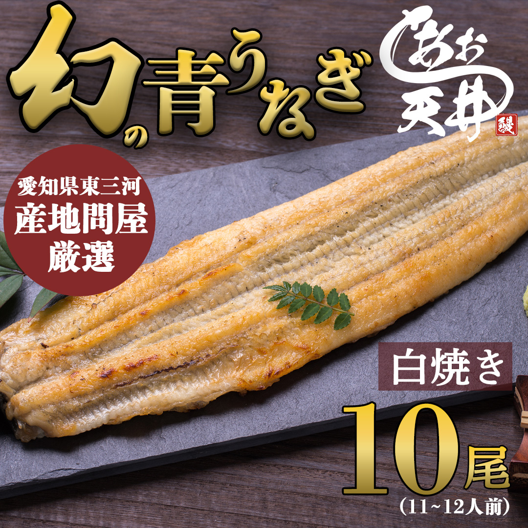 幻の鰻 あお天井の白焼き10尾（11～12人前）【愛知県東三河産地問屋直送】
