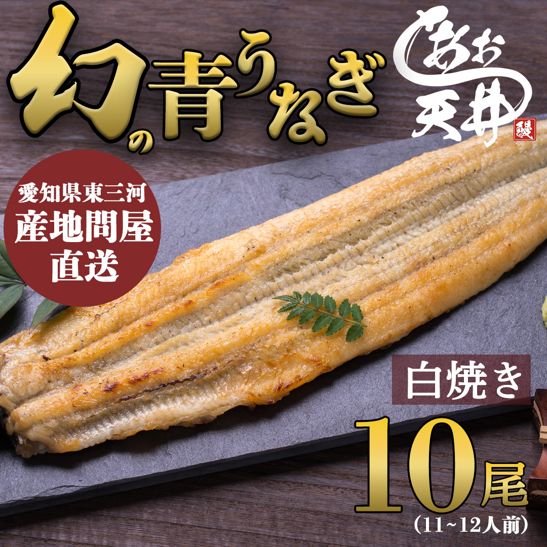 幻の鰻 あお天井の白焼き10尾（11～12人前）【愛知県東三河産地問屋直送】