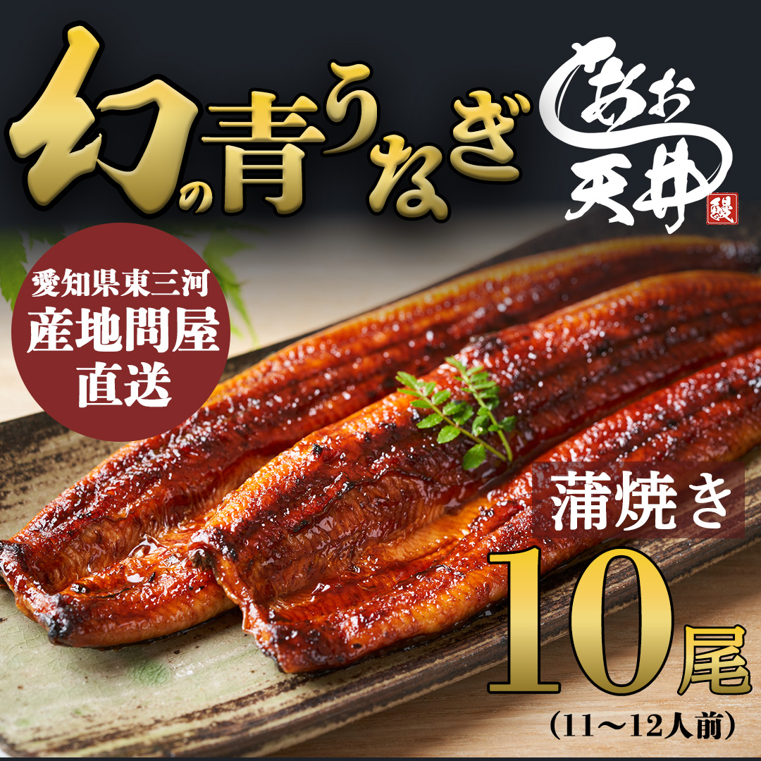 幻の鰻 あお天井の蒲焼き10尾（11～12人前）【愛知県東三河産地問屋直送】