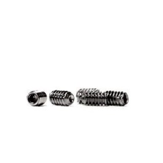 FCS エフシーエス STAINLESS STEEL SCREW ステンレス スクリュー