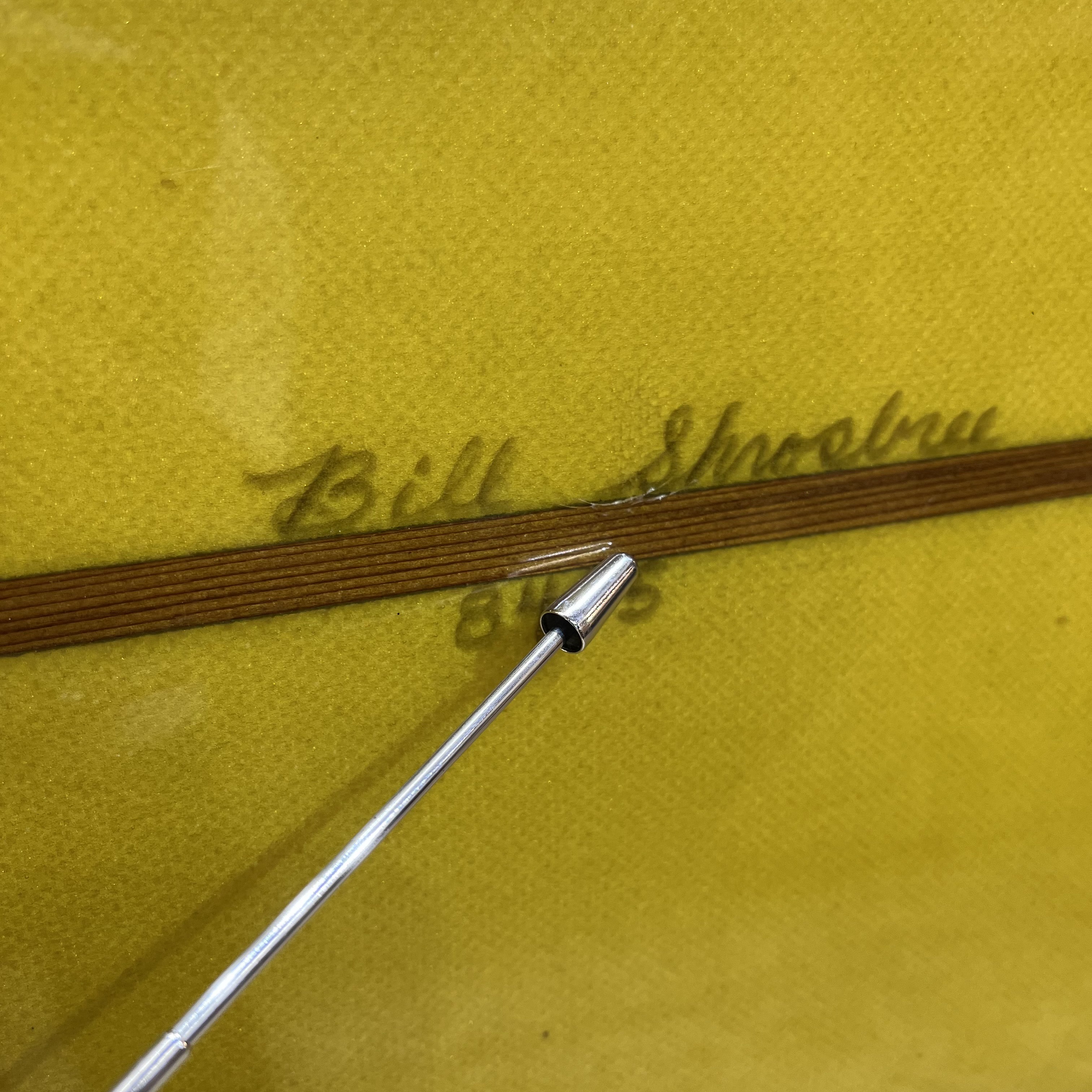 AMSTERDAM SURFBOARDS /  PAPA JOE 9`5 Shaped by BILL SHROSBEE