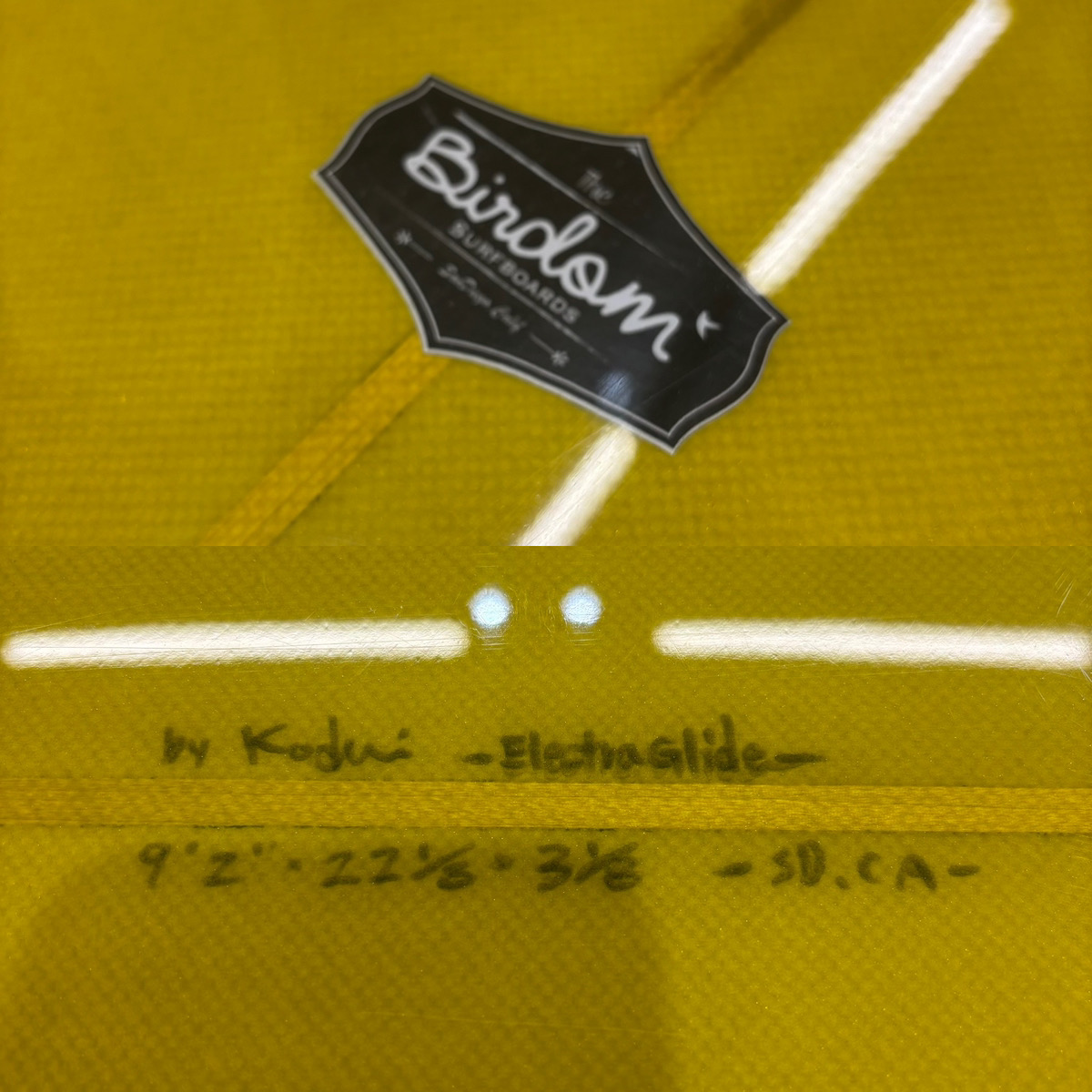 BIRDOM /  Electra Glide 9`2