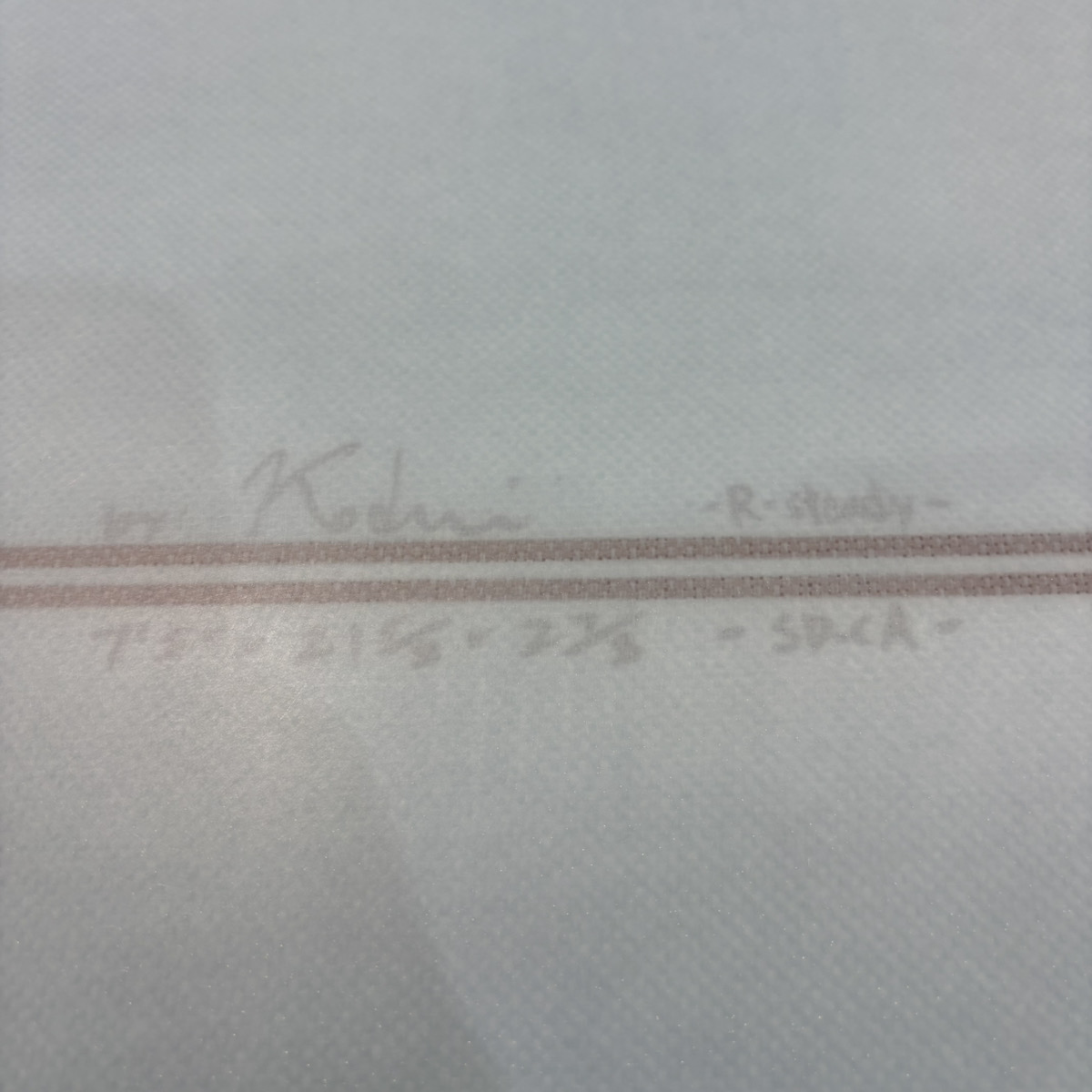 BIRDOM / 7`5 ROCK STEADY