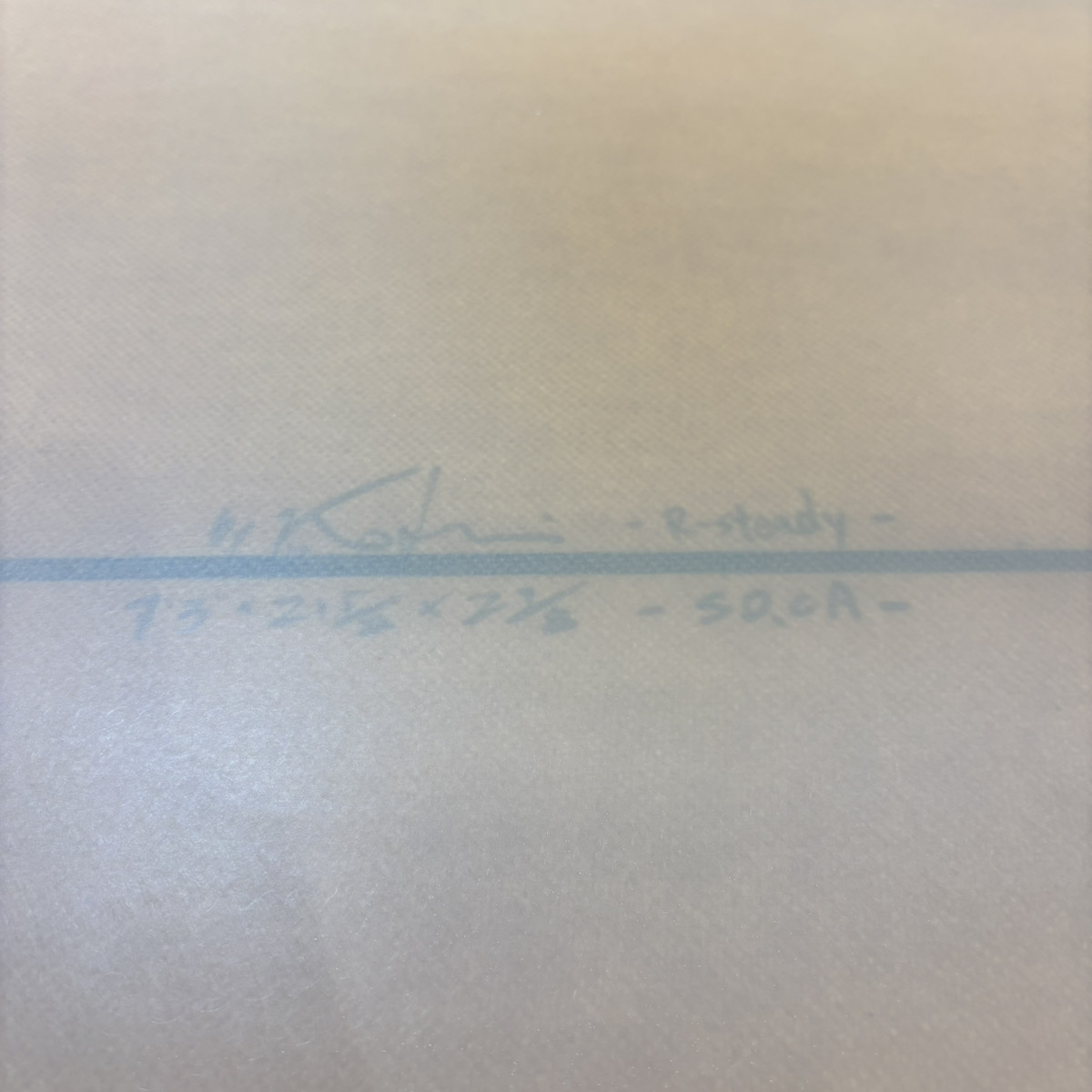 BIRDOM / 7`3 ROCK STEADY