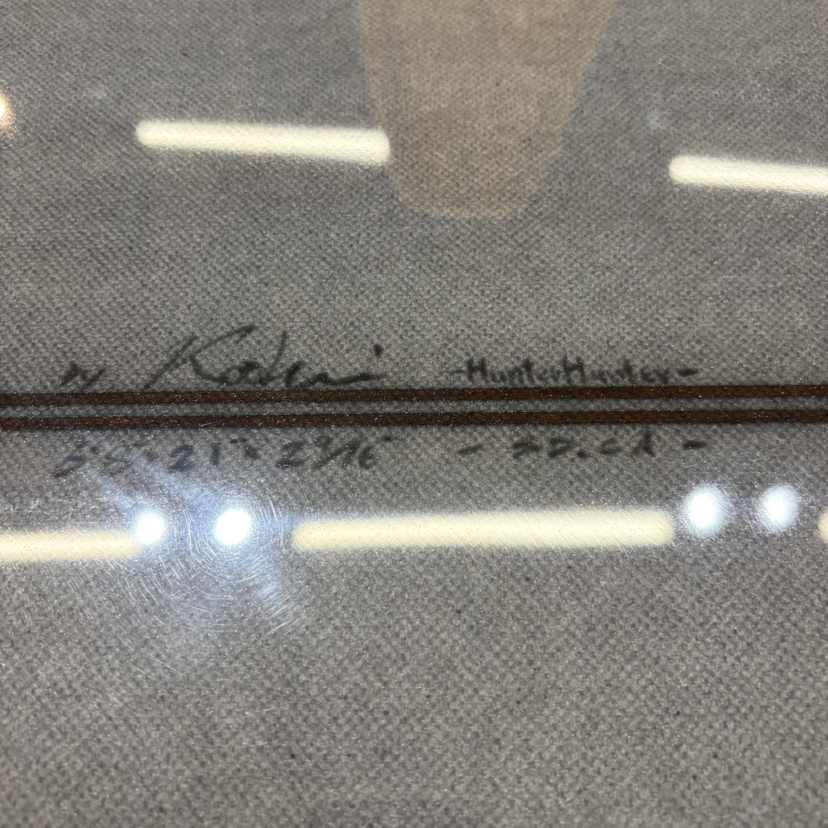 BIRDOM / 6`8 HUNTER HUNTER