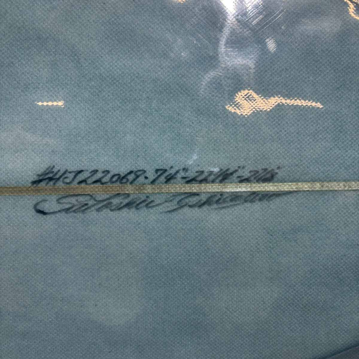 HAWAIIAN PRO DESIGNS / 7`4 SCORPION