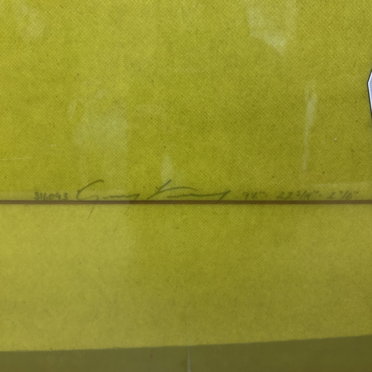 HOBIE / 9`6 Mickey Munoz Noserider 2