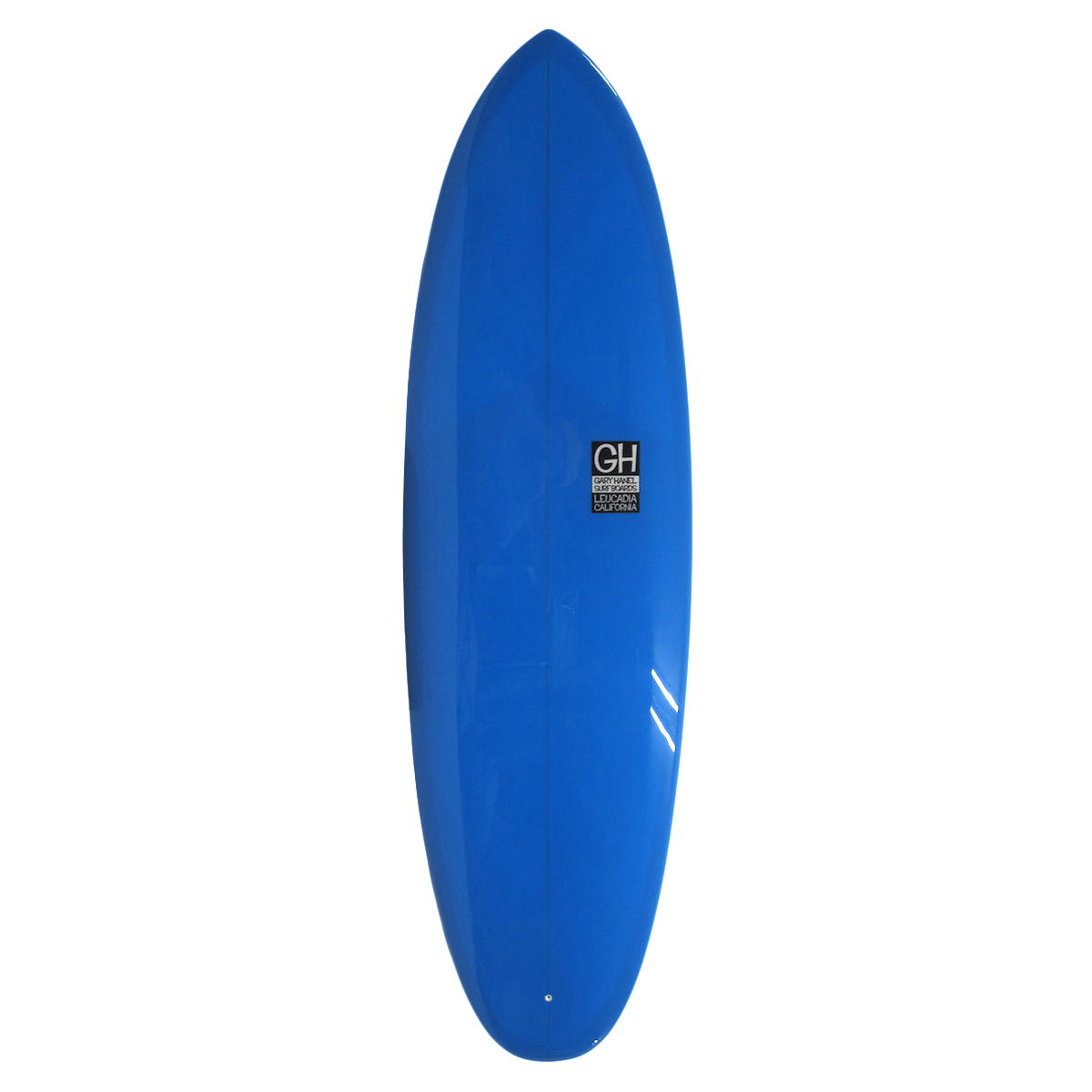 GARY HANEL / Gary Hanel Surfboards / DIET PILZER 6`2