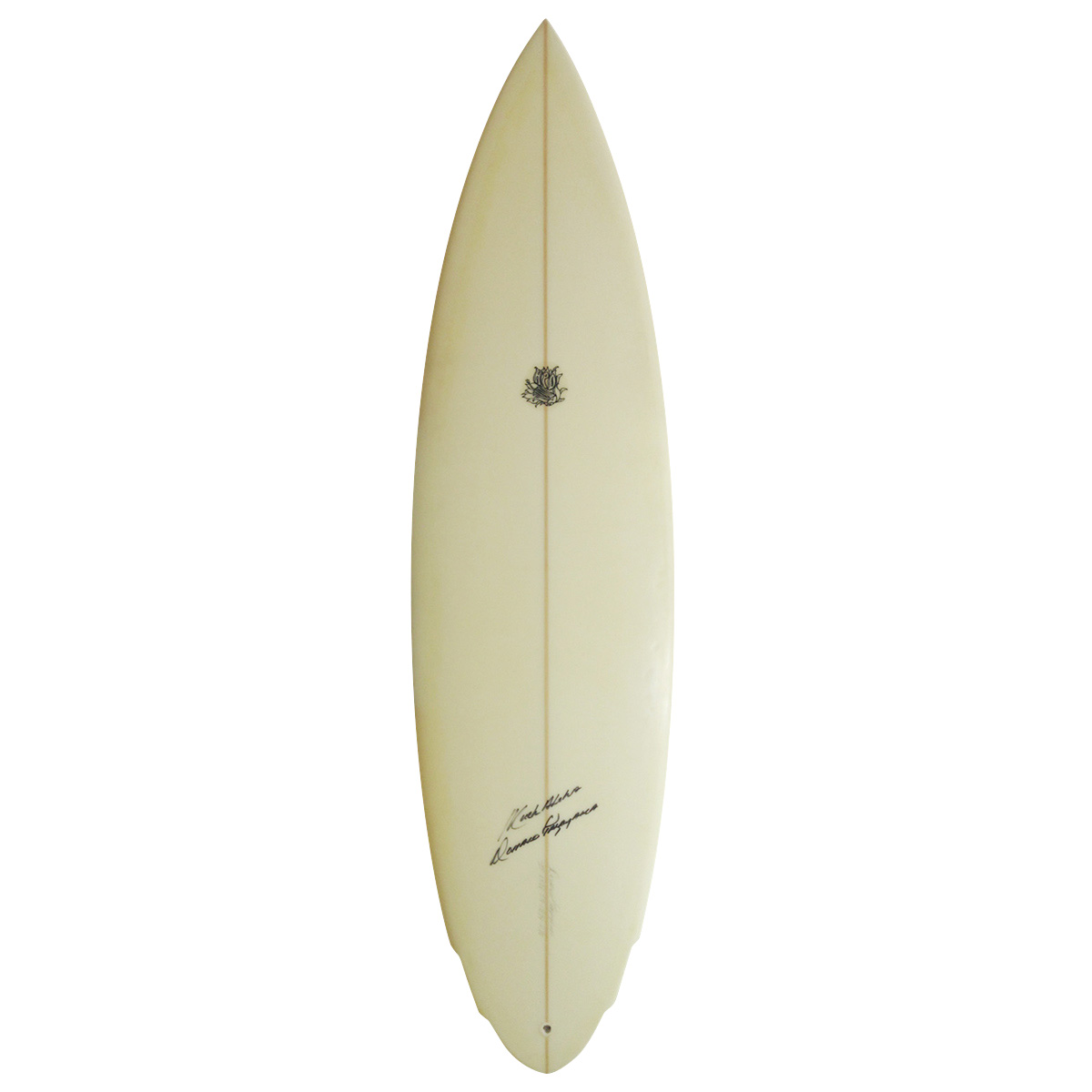 HAWAIIAN PRO DESIGNS / HAWAIIAN PRO DESIGNS / 5'9 Doublewing Round Pin Shaped By Donald Takayama