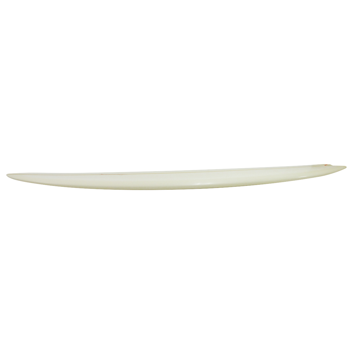 TANNER  / Dead Flower 8'0