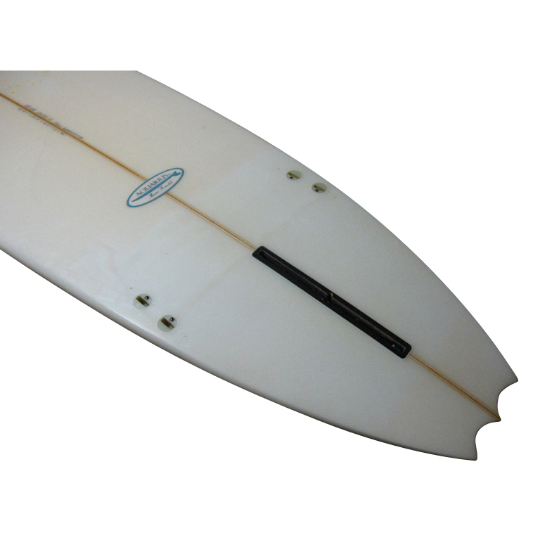 AQUARIUS  / 9`1 Hi Performance Custom 